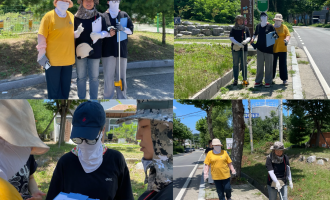 가로수 돌보미 모니터링 2주차 활동